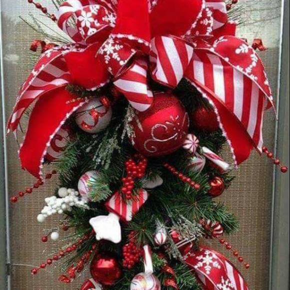 Meet your Posher, Bailey - Picture 1 of 1